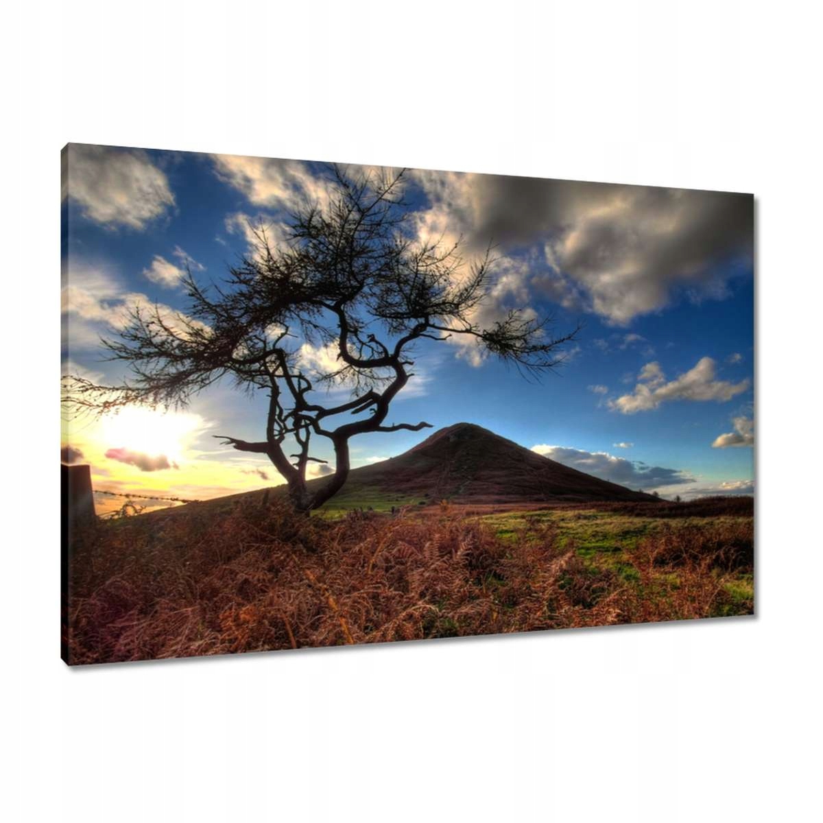 Obrazy 90x60 Stromek