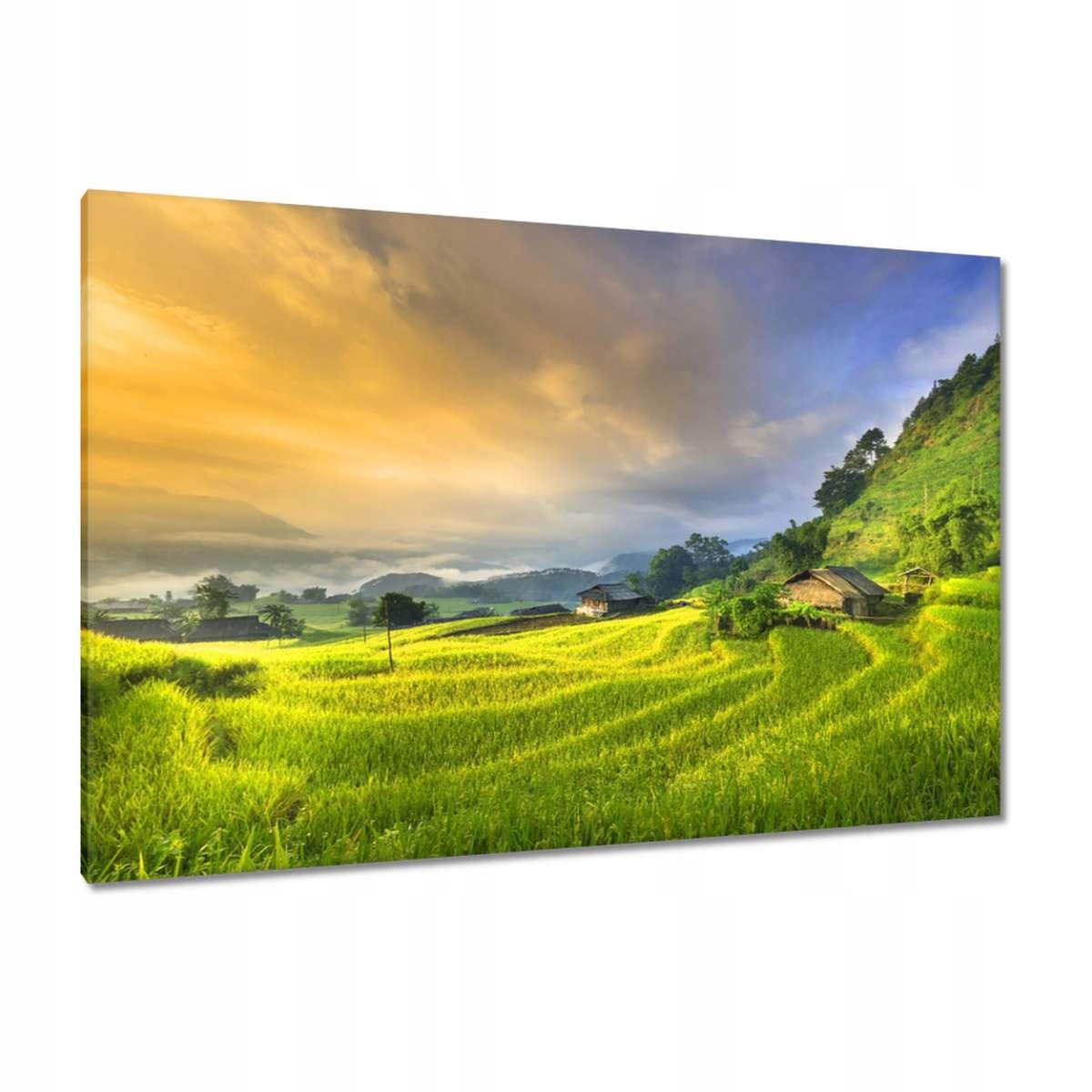 Obrazy 120x80 Pohled Krajina