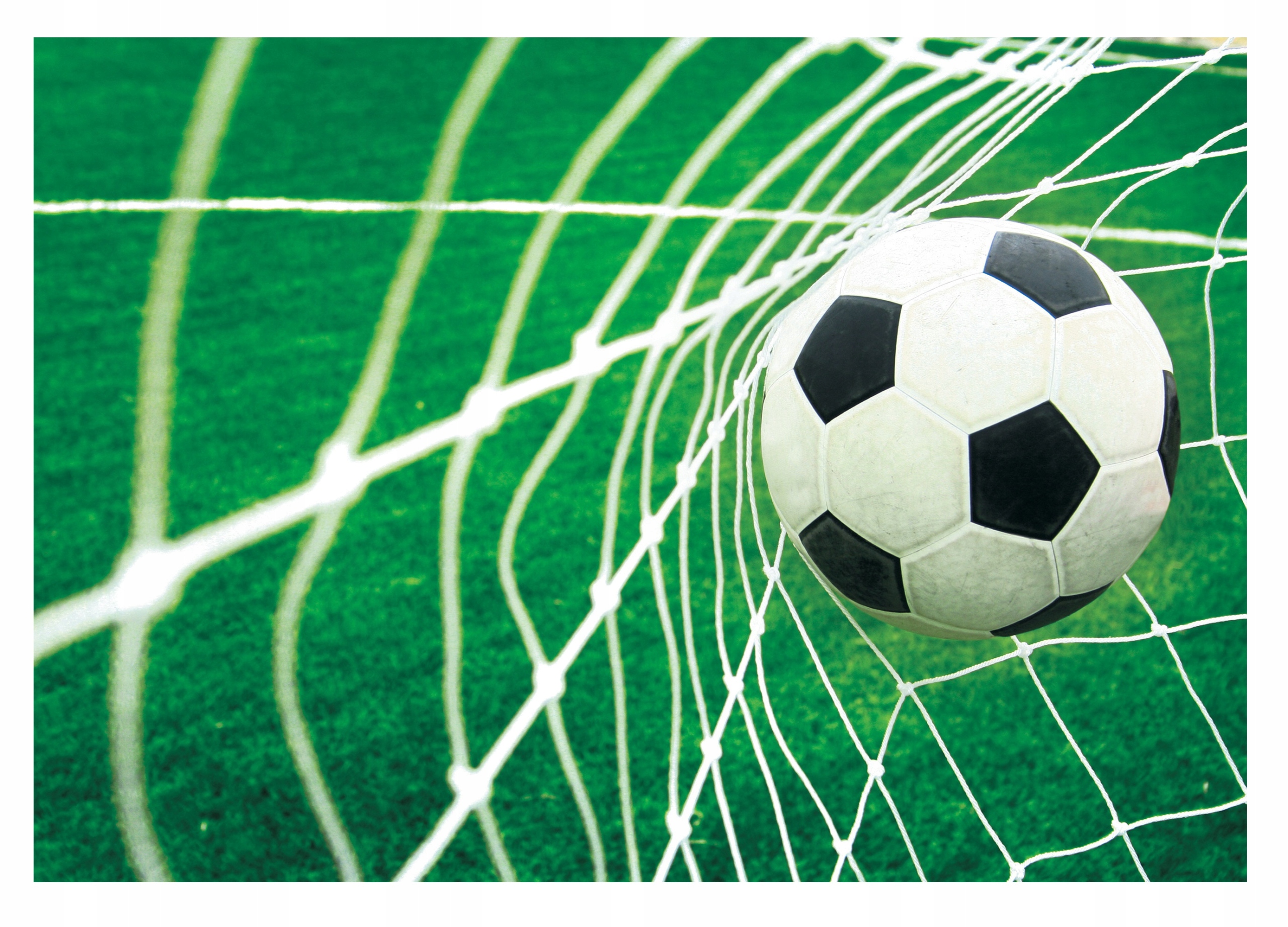 Fototapeta Futbalová brána pre chlapca 312x219