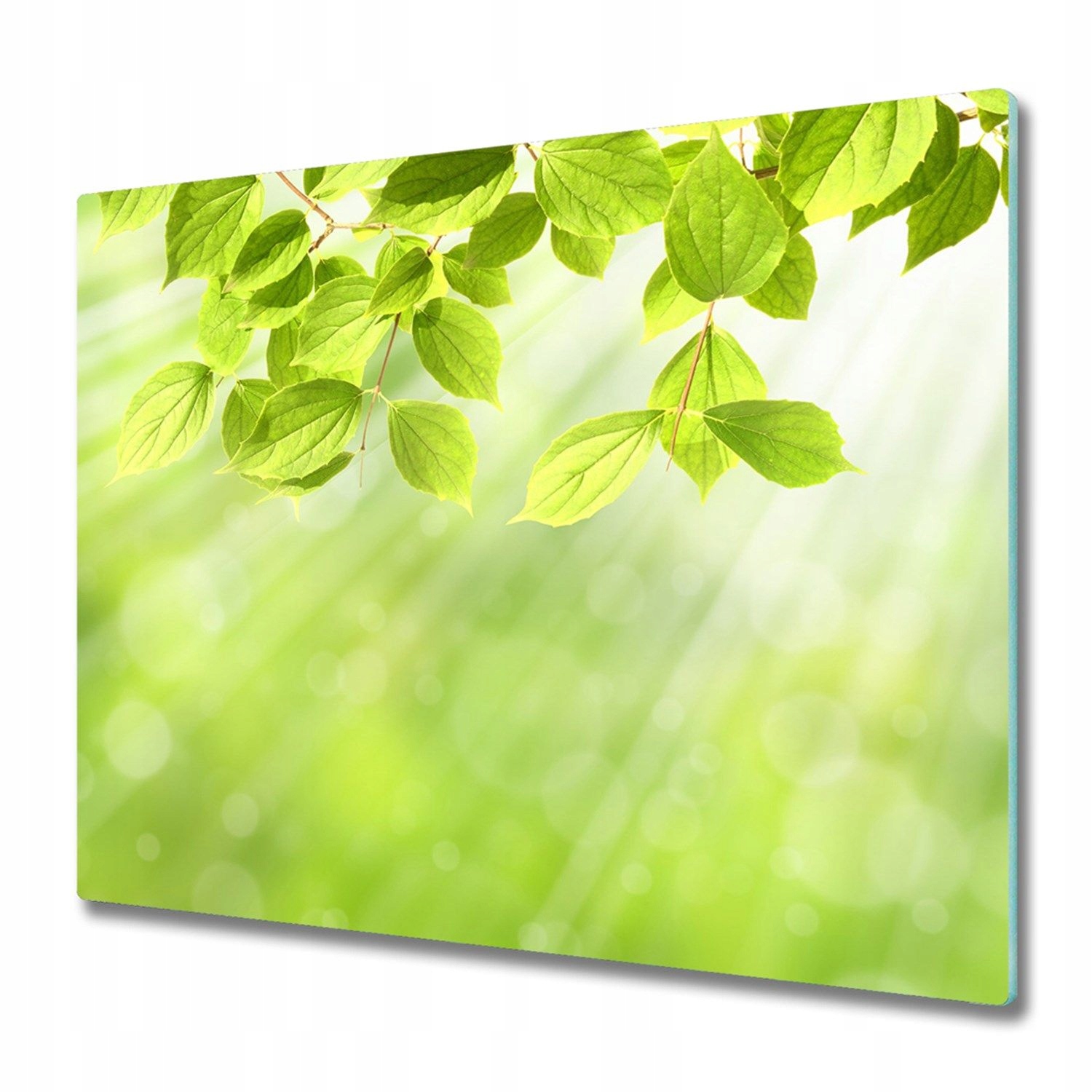 

Płyta ochronna na indukcję Liście 60x52