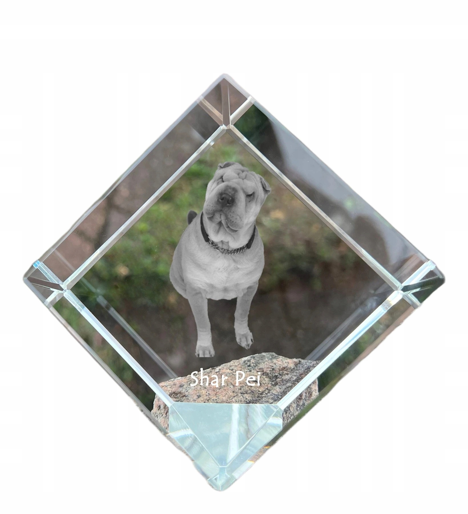 Shar Pei krištáľová kocka s fotografiou psa, ozdoba na stôl, tlačidlo