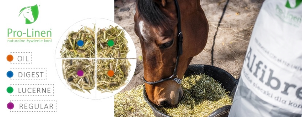 PRO-LINEN Day Complex Classic Pasza Musli 20 kg Nazwa Day Complex Musli