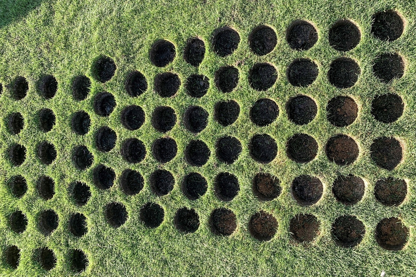 Wycinak do darni BABKOWNICA ręczna okrągła Marka inna