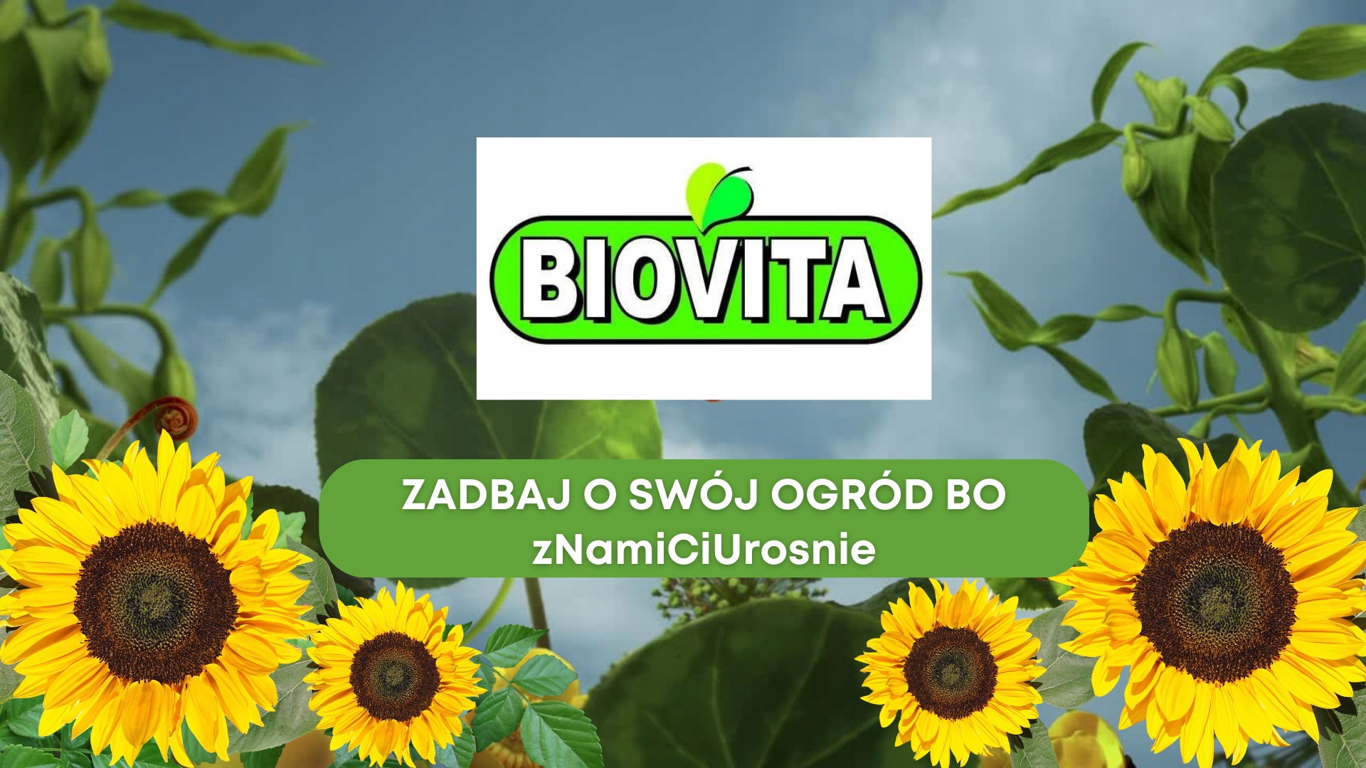 BIOVITA KERAMZYT OGRODNICZY DROBNY 4-8MM 2L Waga 2 kg