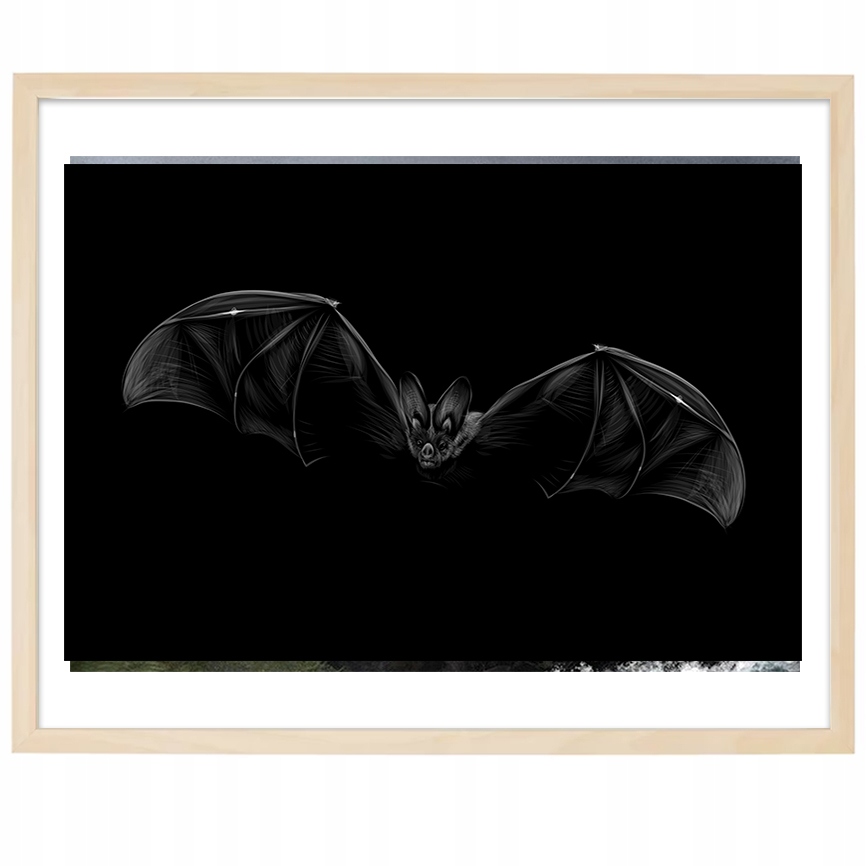 

Plakat Poziomy Obraz Dekor 30x40cm Nietoperz