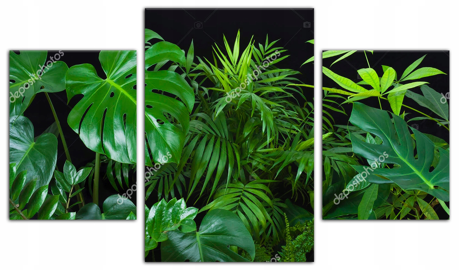 

Tryptyk obraz na ścianę liście monstera dużo wz.