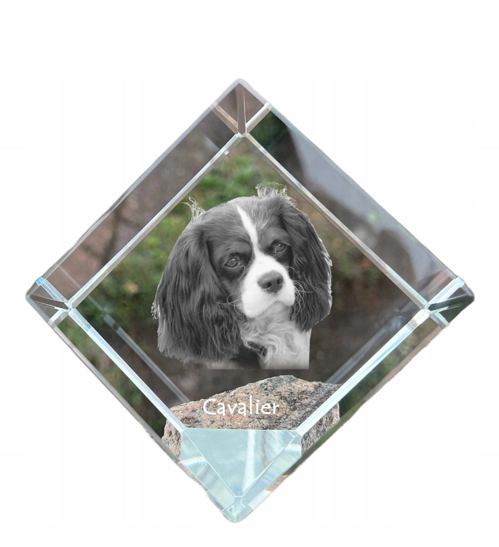 Cavalier King Charles Spaniel krištáľová kocka s fotografiou psa, ozdoba