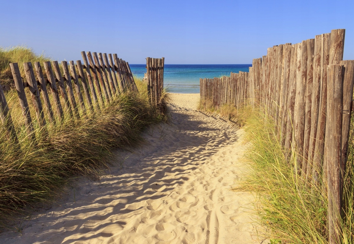 

Fototapeta Flizelinowa Morze Wydmy 152x104