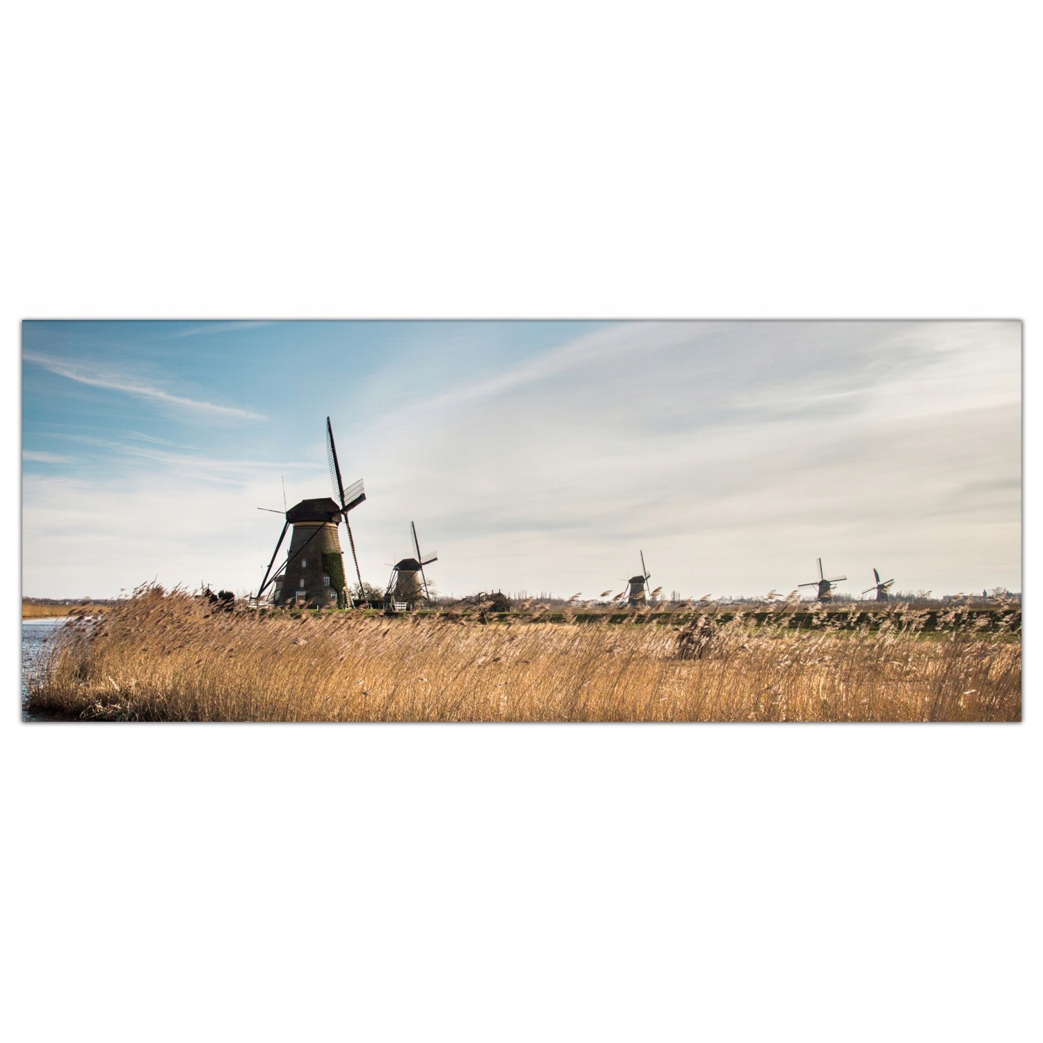 

Obraz na szkle Foto Młyn Holandia Krajobraz 125x50