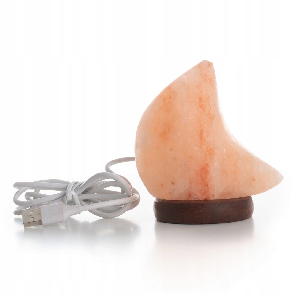 Dekoracyjna lampa stołowa solna księżyc LED Zasilanie sieciowe