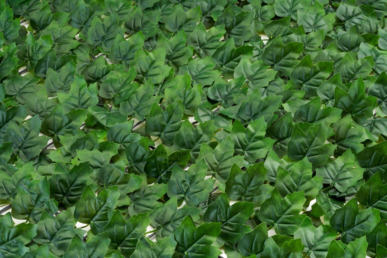 Břečťan Hedera Umělý Živý Plot na Oplocení Balkon Terasa Kvalita Premium