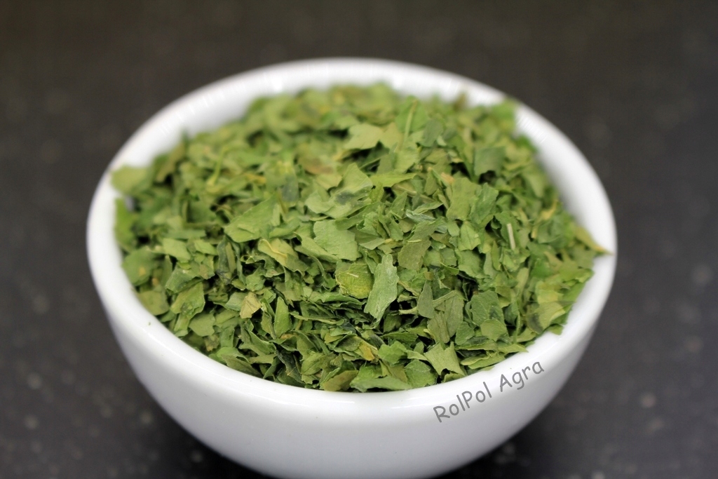 Czosnek Niedźwiedzi 1kg Naturalne Witaminy