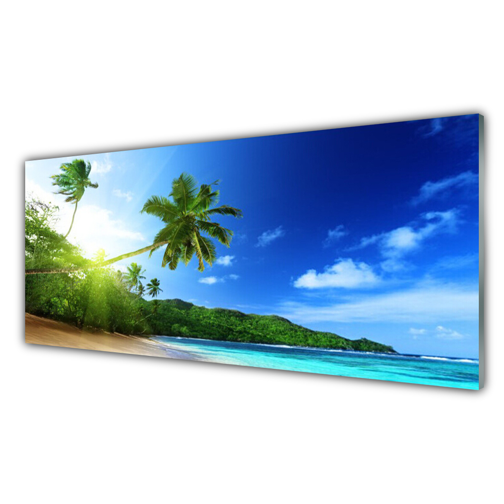 

Fotoobraz akryl 125x50 Plaża Morze Palma Krajobraz