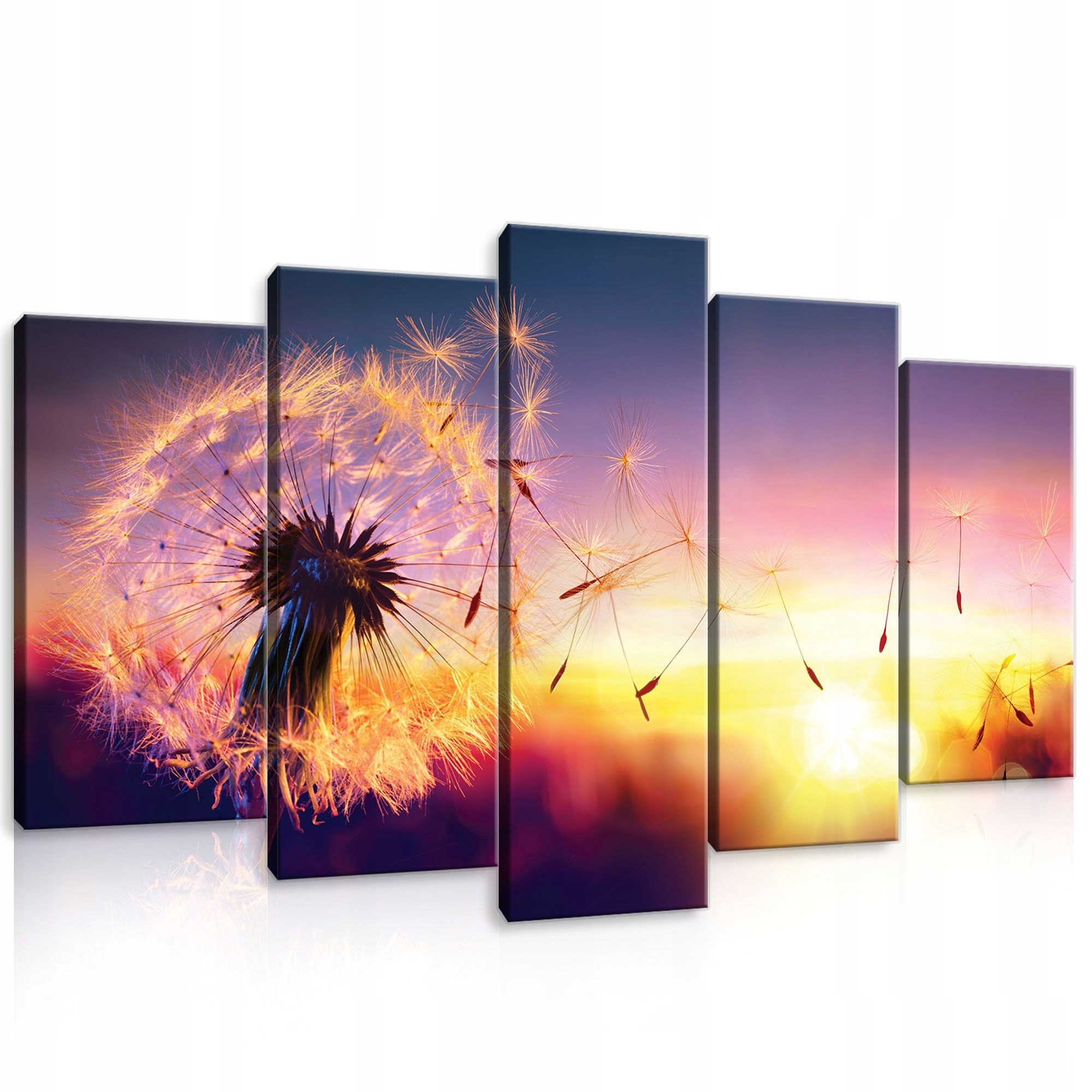 Obraz 100x60 Pampeliška lékařská semena západ slunce lehkost příroda klid