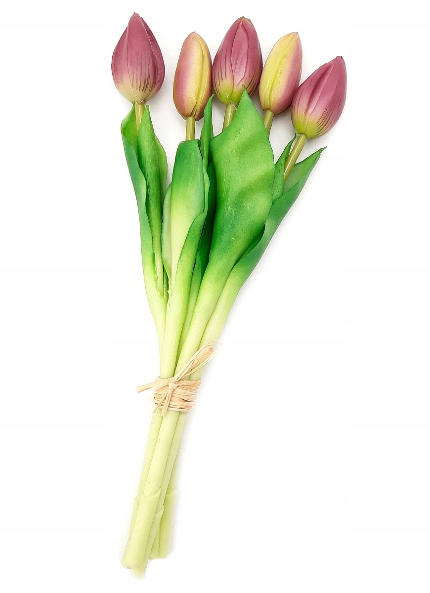 

Tulipan Silikonowy Tulipany Bukiet 5 szt Fioletowe