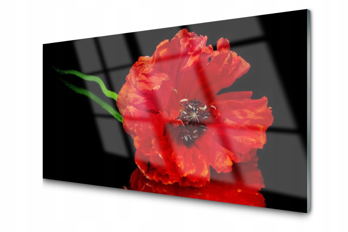 

Panel szklany Płytka Kwiat Mak Roślina 100x50