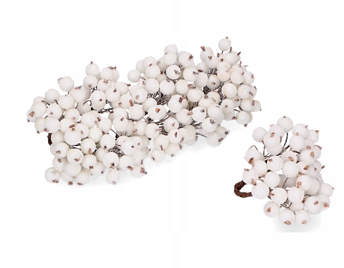 

Jarzębina oszroniona biała 240szt