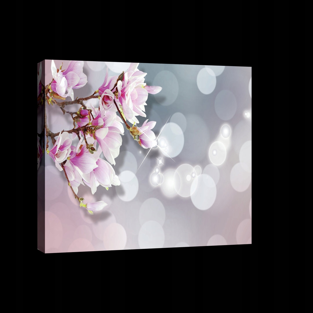 Obraz 80x60 Jemné květy růžová magnolie bokeh jaro kvetení