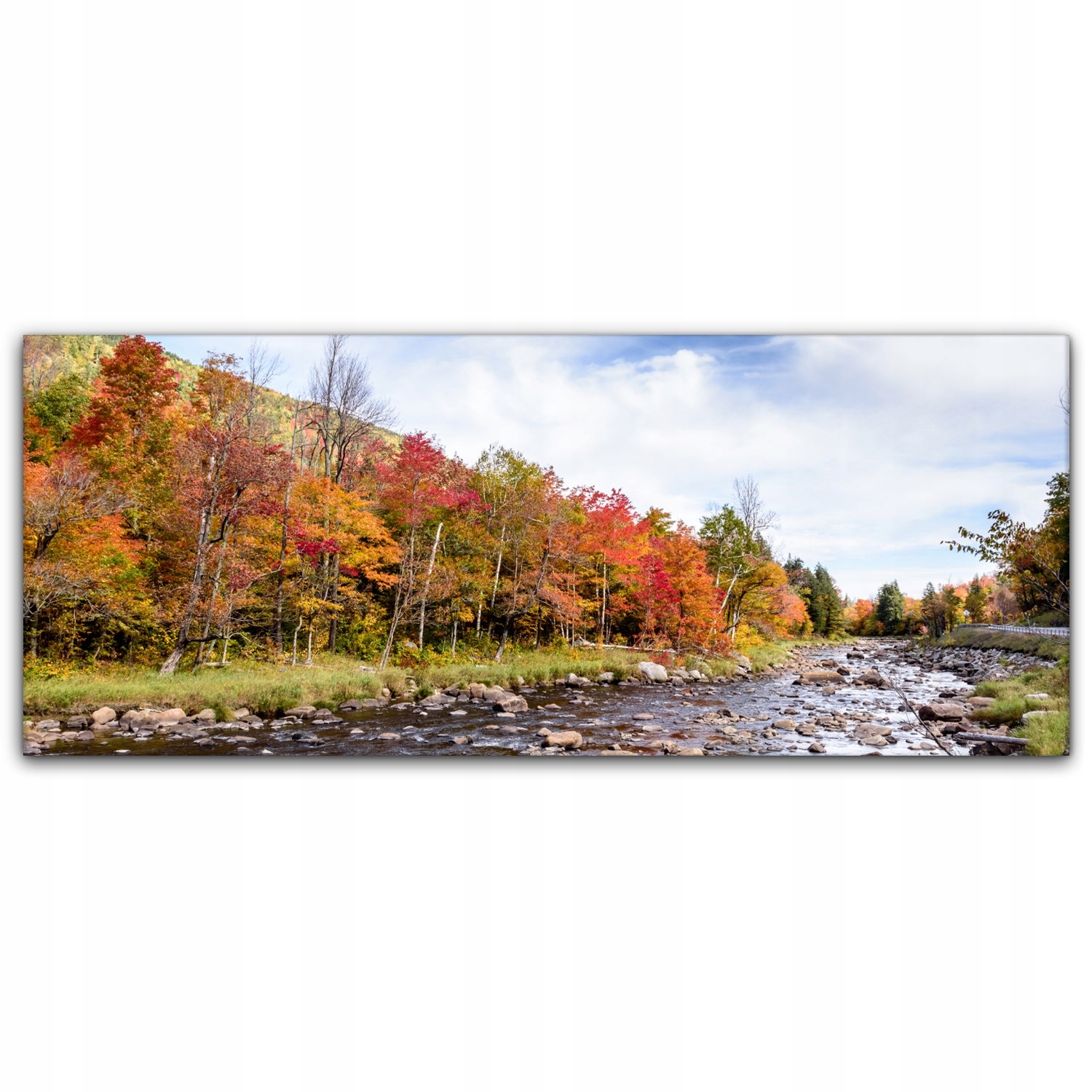 

Obraz na płótnie z foto 125x50 Jesień Drzewa Rzeka