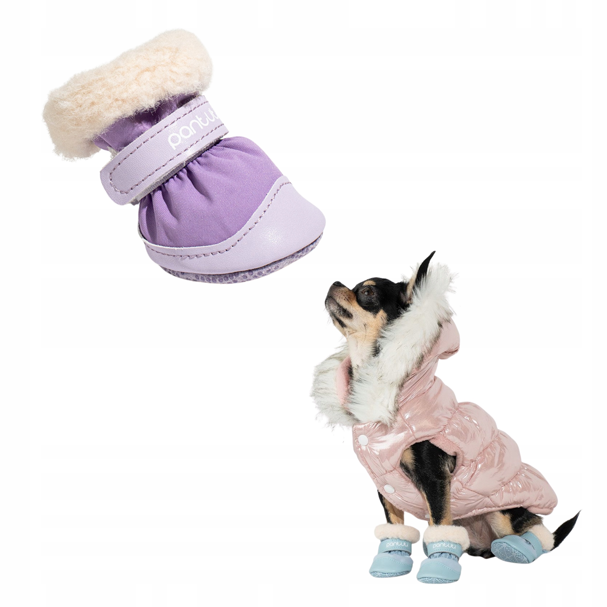 Levně Zateplené boty pro malého psa Elon Fialová XL
