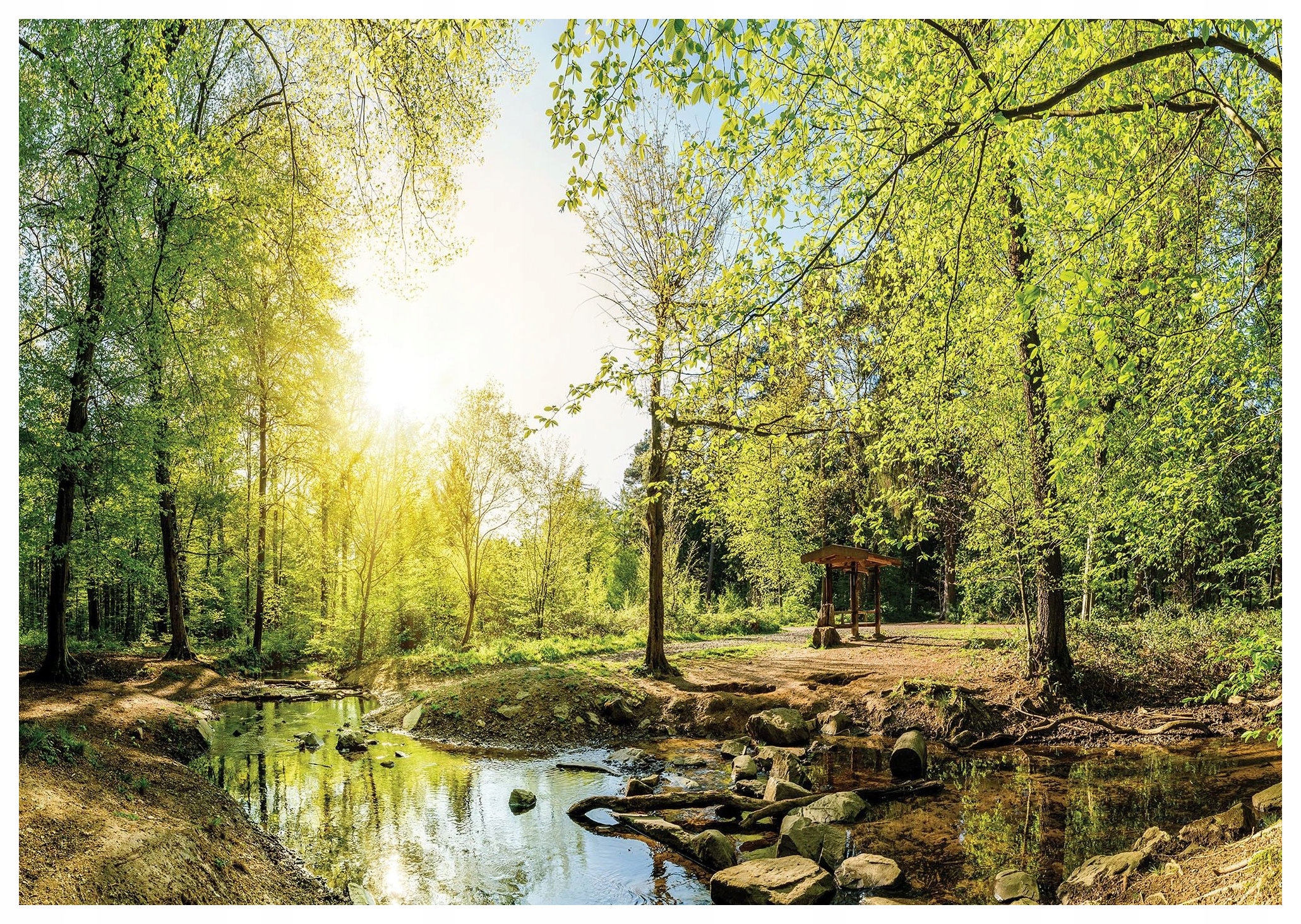 Vliesová fototapeta Lesní proud slunce zeleň relaxace 300x210 lepidlo