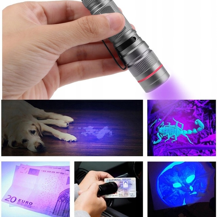 MOCNA LATARKA UV DO BURSZTYNÓW KLIMY LED 395nm Rodzaj klasyczna