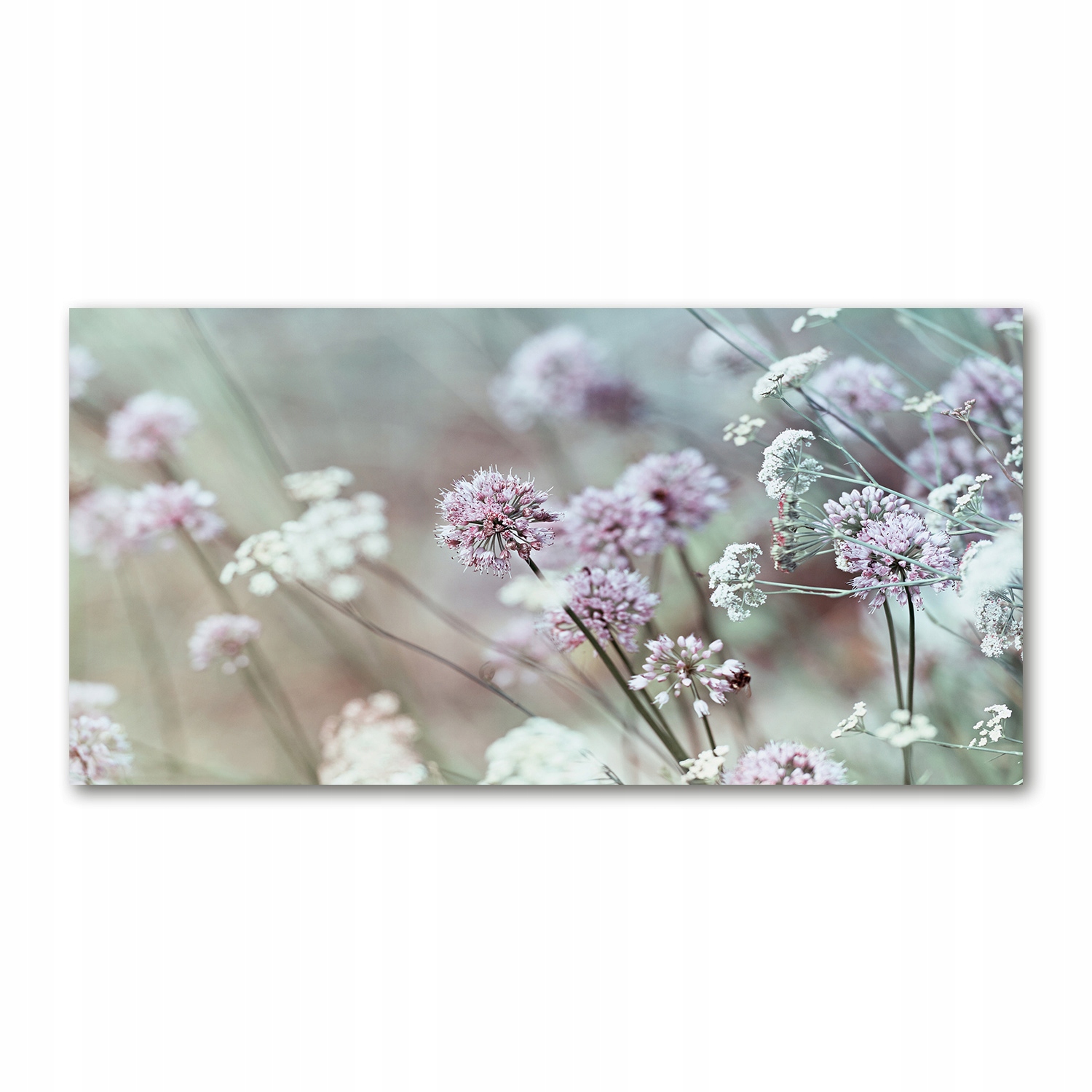 

Foto obraz akryl zdjęcie Dzikie kwiaty 120X60 cm