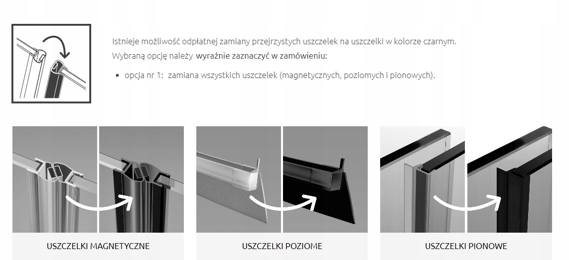 Drzwi czarne RADAWAY Furo Black DWJ 160x200 LEWE Wykończenie szkła przezroczyste