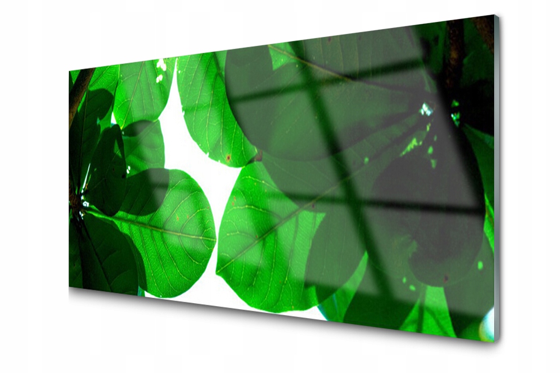 

Panel szklany dekoracyjny Liście Drzewo 100x50