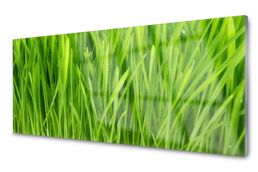 

Panel szklany do kuchni Trawa Roślina 125x50