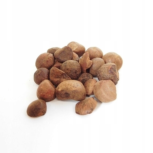 

Nasiona guarany 10 g Bio susz do waporyzacji