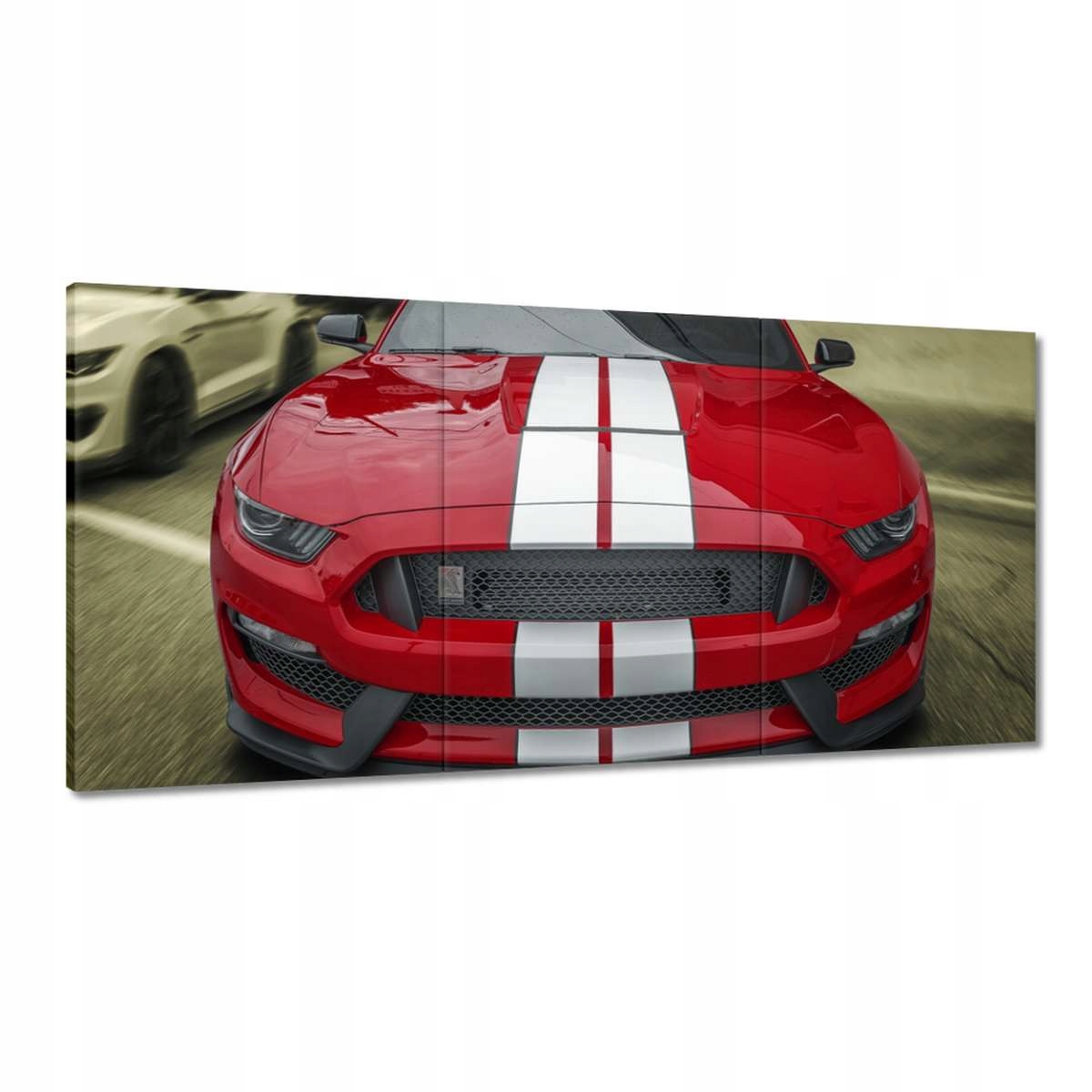 Obrazy 180x90 GT350 Ford Mustang Shelby