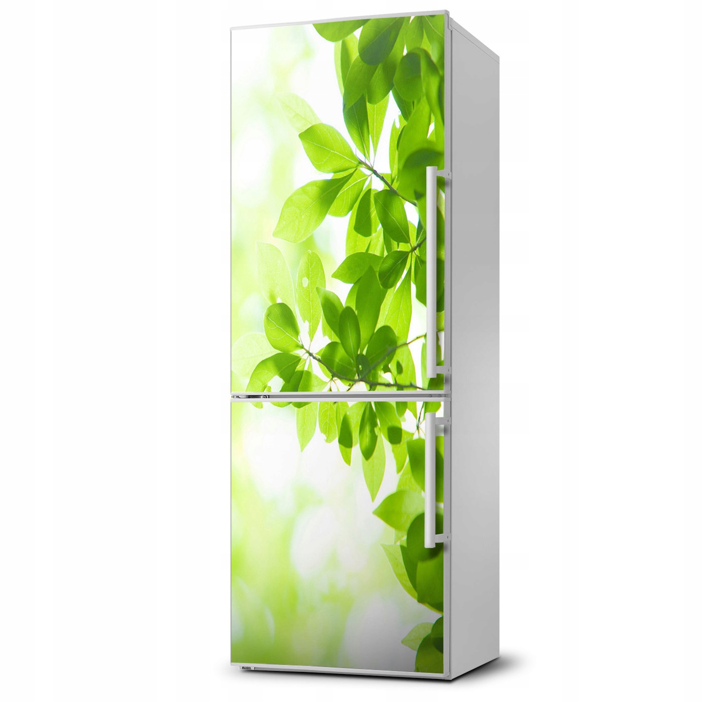 

Naklejka Magnes Magnes Zielone liście 60x180