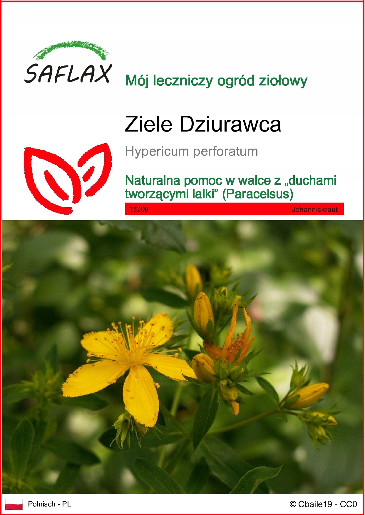 SAFLAX - Zioła Johannisa - 300 Nasiona - Hypericum