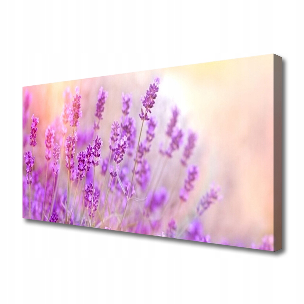 obraz na plátně Levandule Pole Slunce Květiny 140x70
