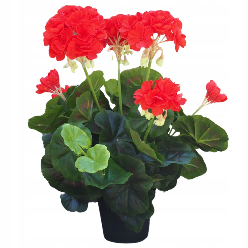 

Czerwona pelargonia w doniczce sztuczna jak żywa