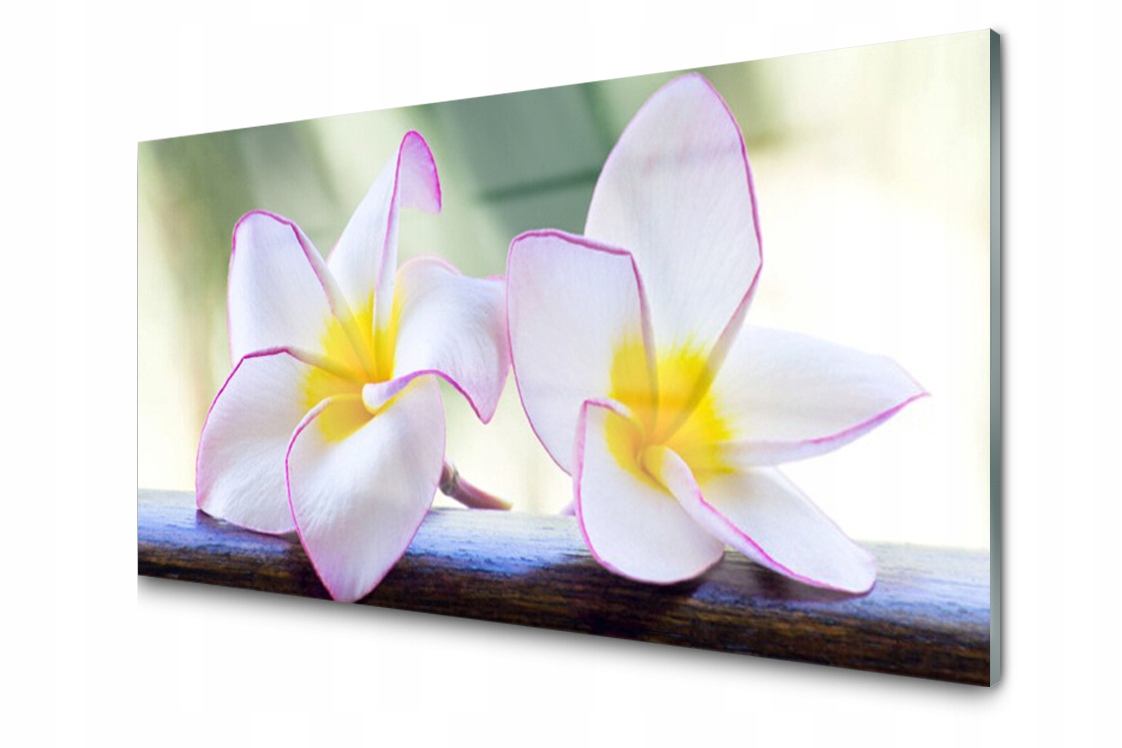 

Panel szklany Płytka Kwiaty Płatki 120x60 + Klej