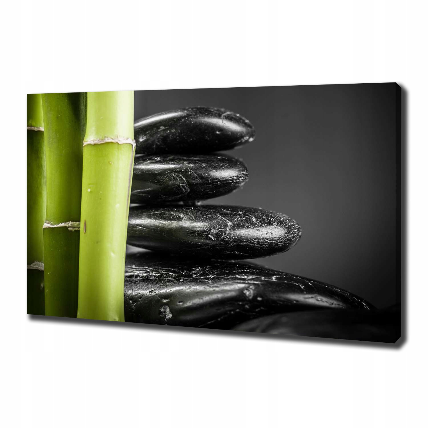 

Duży foto obraz na ścianę canvas Bambus 100x70 cm