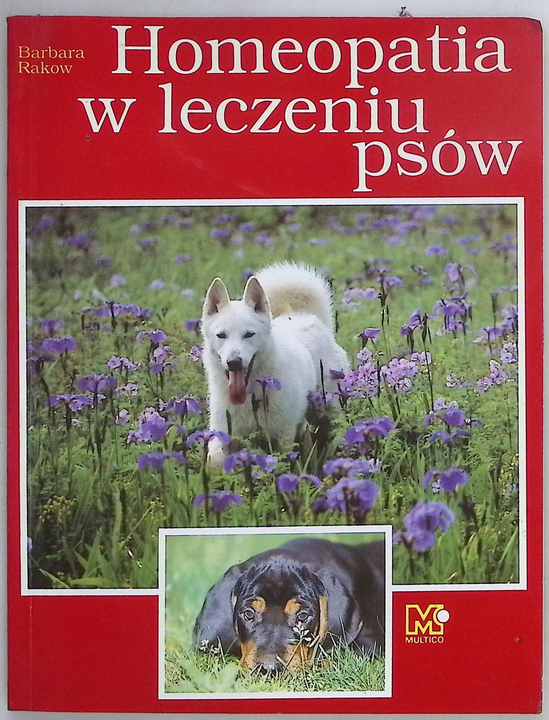Homeopatia w leczeniu psów