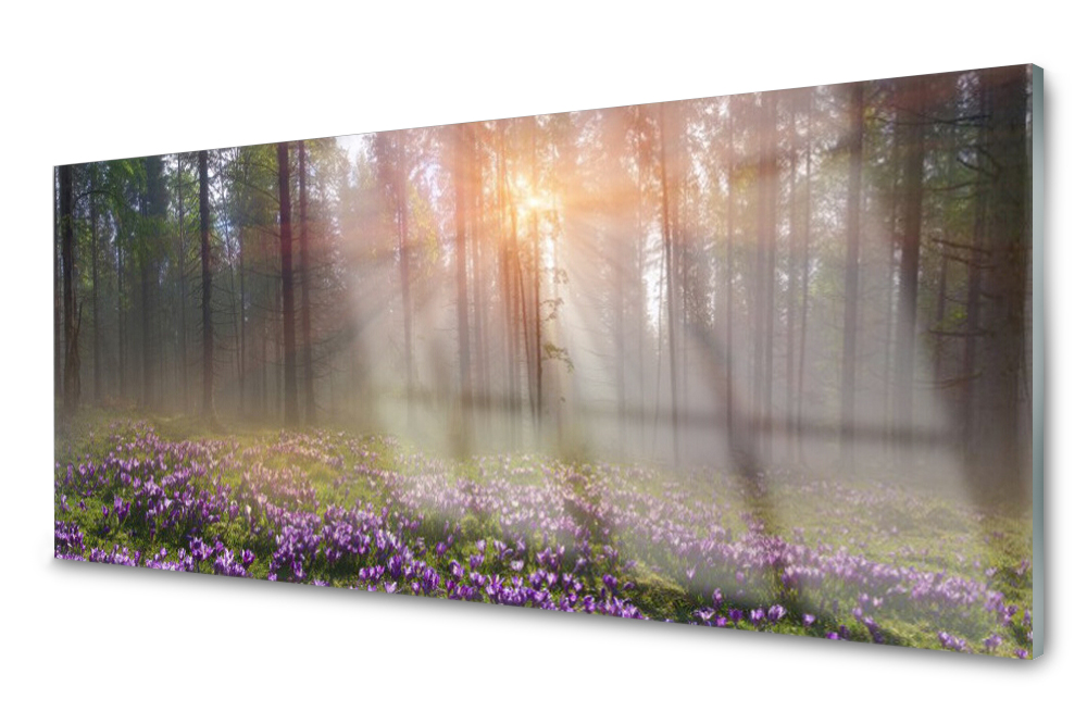 

Panel szklany do kuchni Las Kwiaty Roślina 125x50