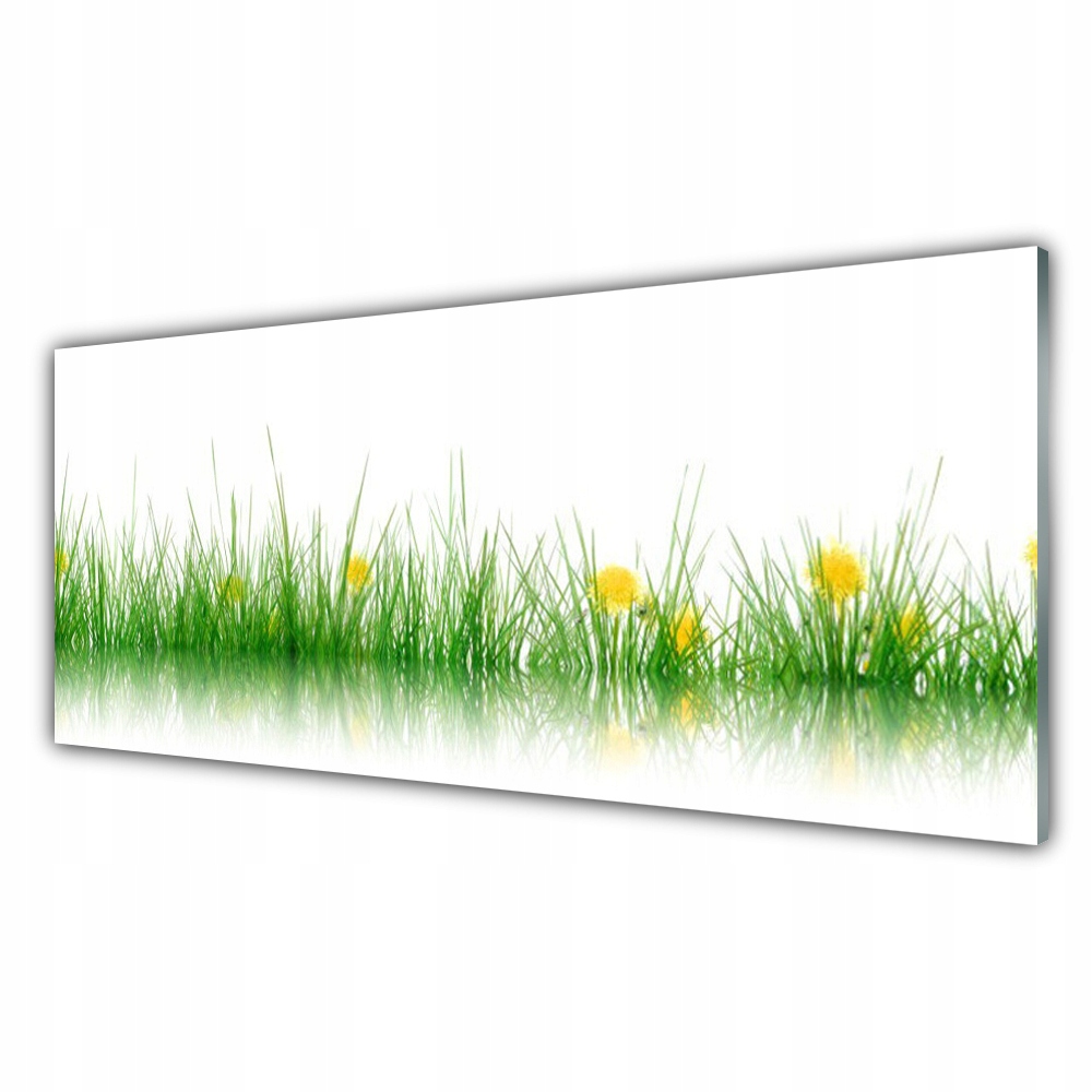 

Obraz akrylowy wiszący 125x50 Natura Trawa Kwiaty