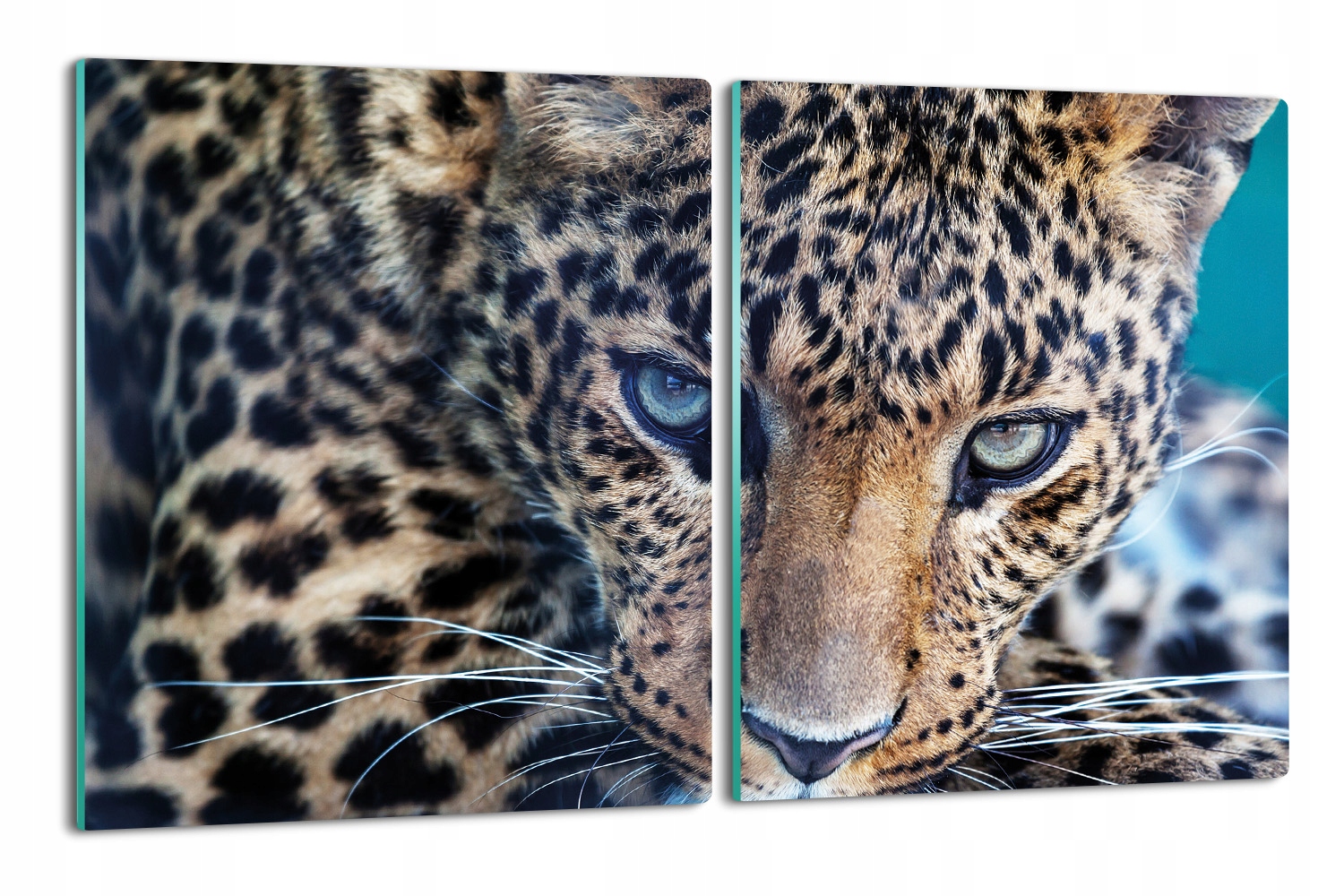 s foto krytem 2x 40x52 s grafikou Leopard portrét