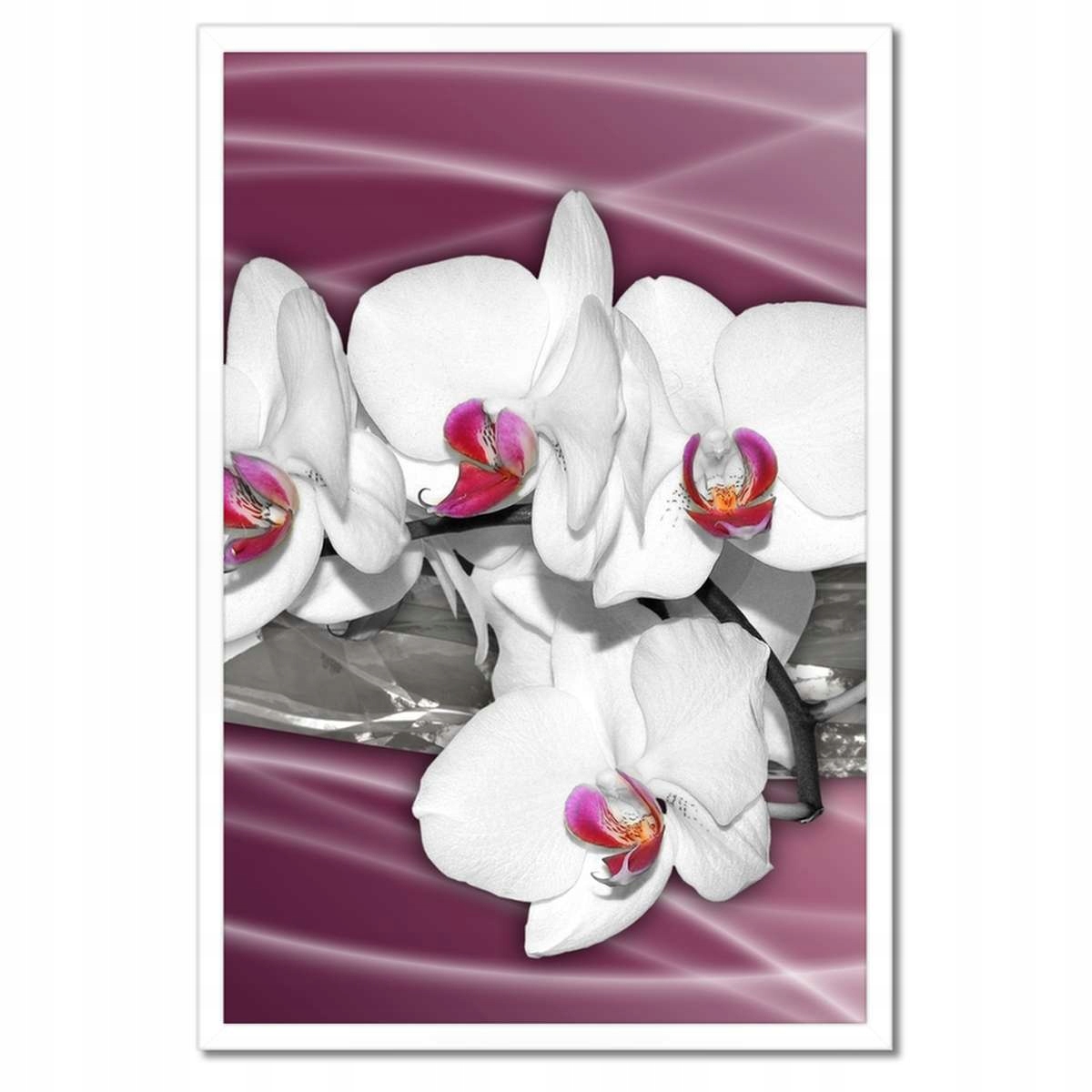 Plakáty v rámu 40x60 Orchideje