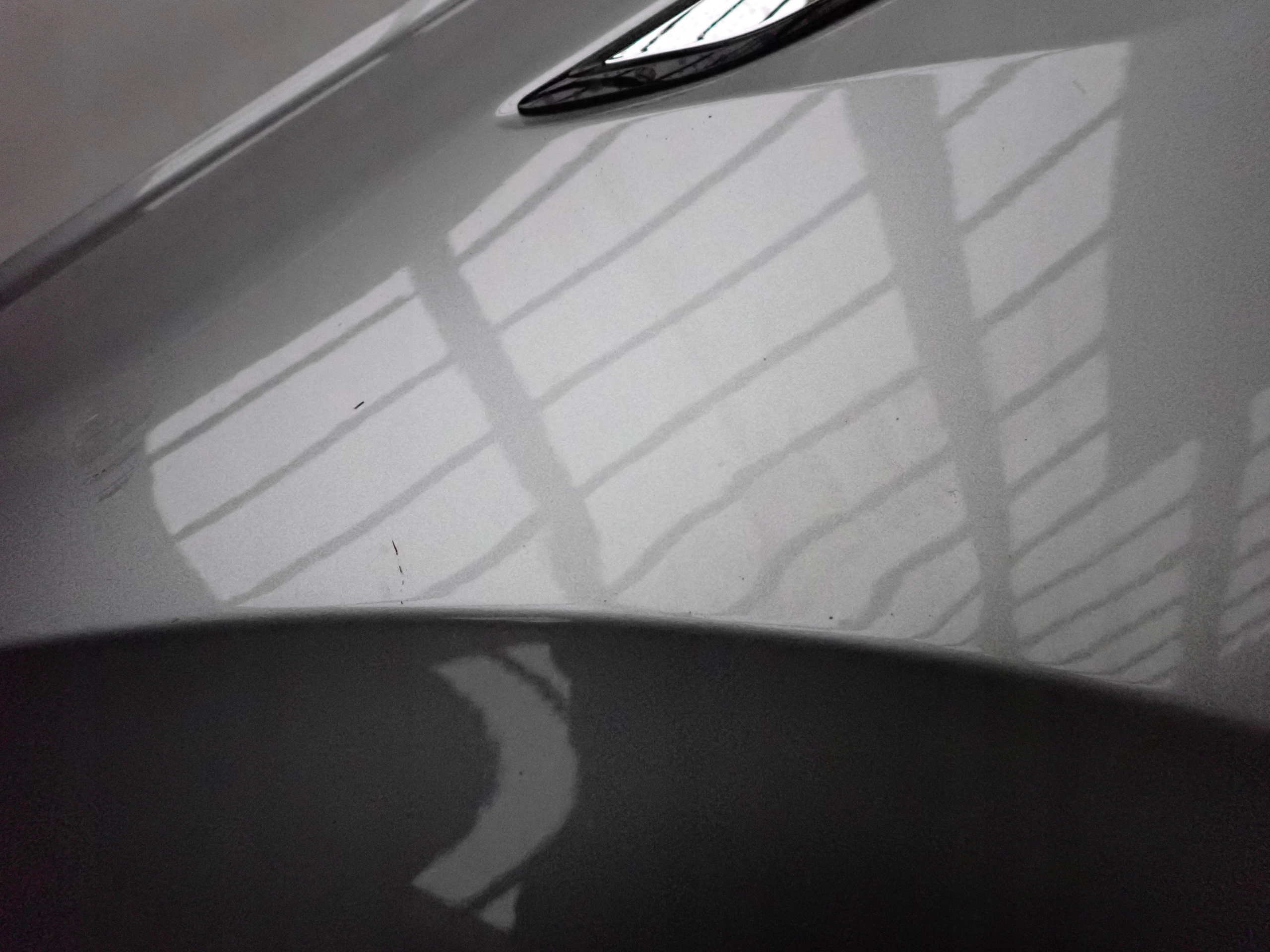 VW TIGUAN II 5N LIFT 20- fender left front front