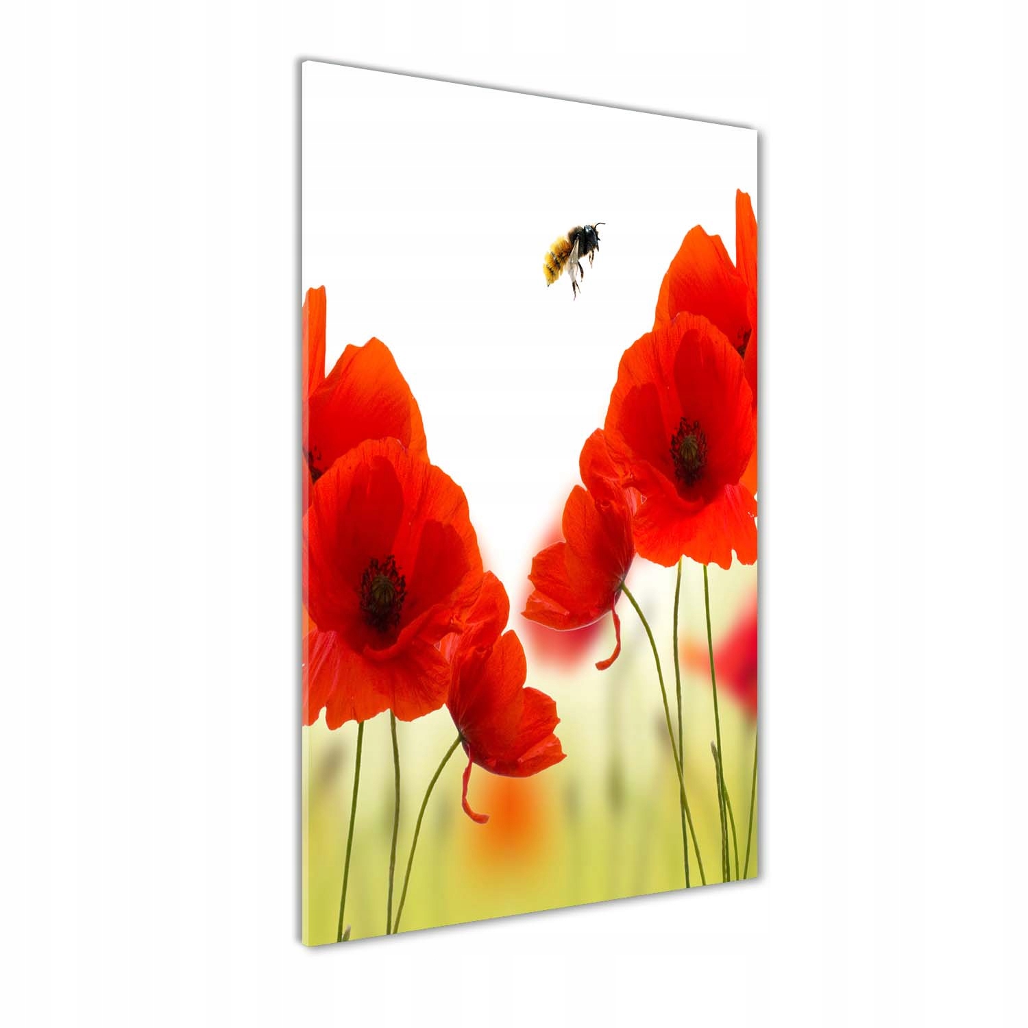 Fotoobraz tvrzené sklo Polní máky 50x100 cm