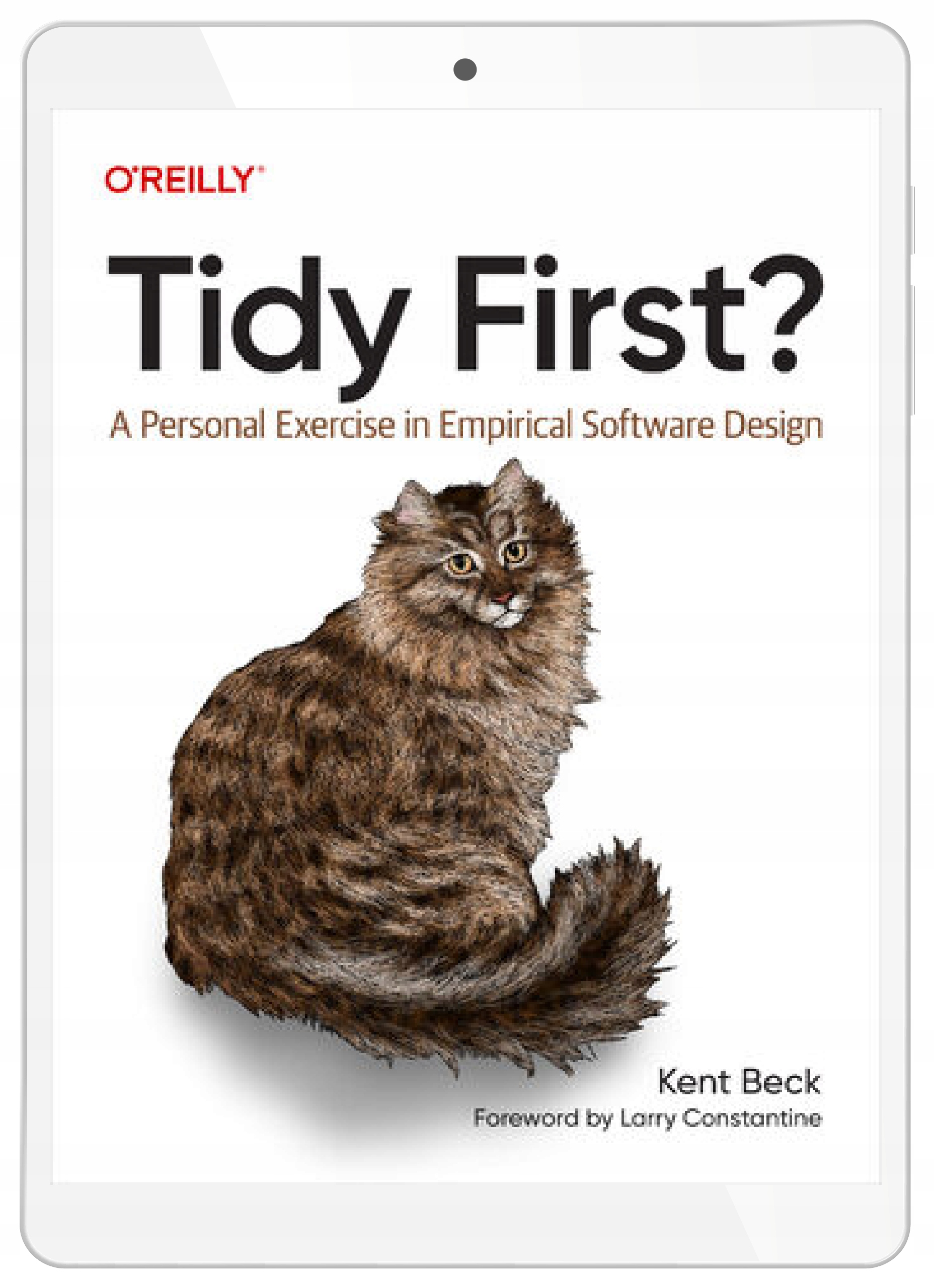 Tidy First? Kent Beck