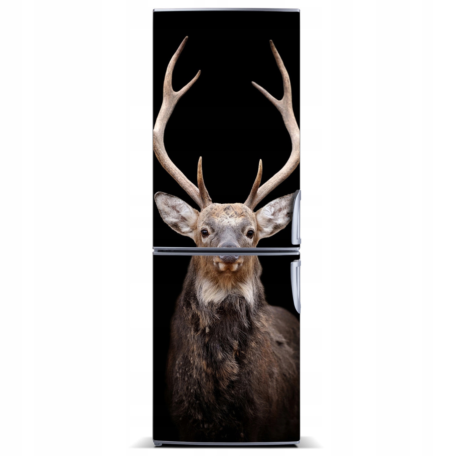 

Naklejka magnetyczna lodówkę ścianę Jeleń 60x180
