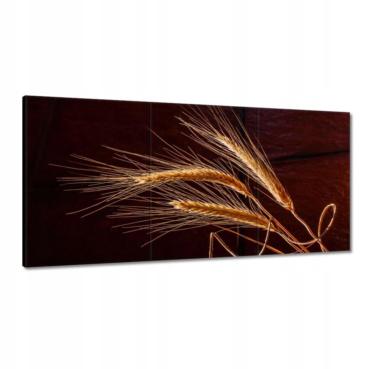 Obrazy 180x90 Plné klasy