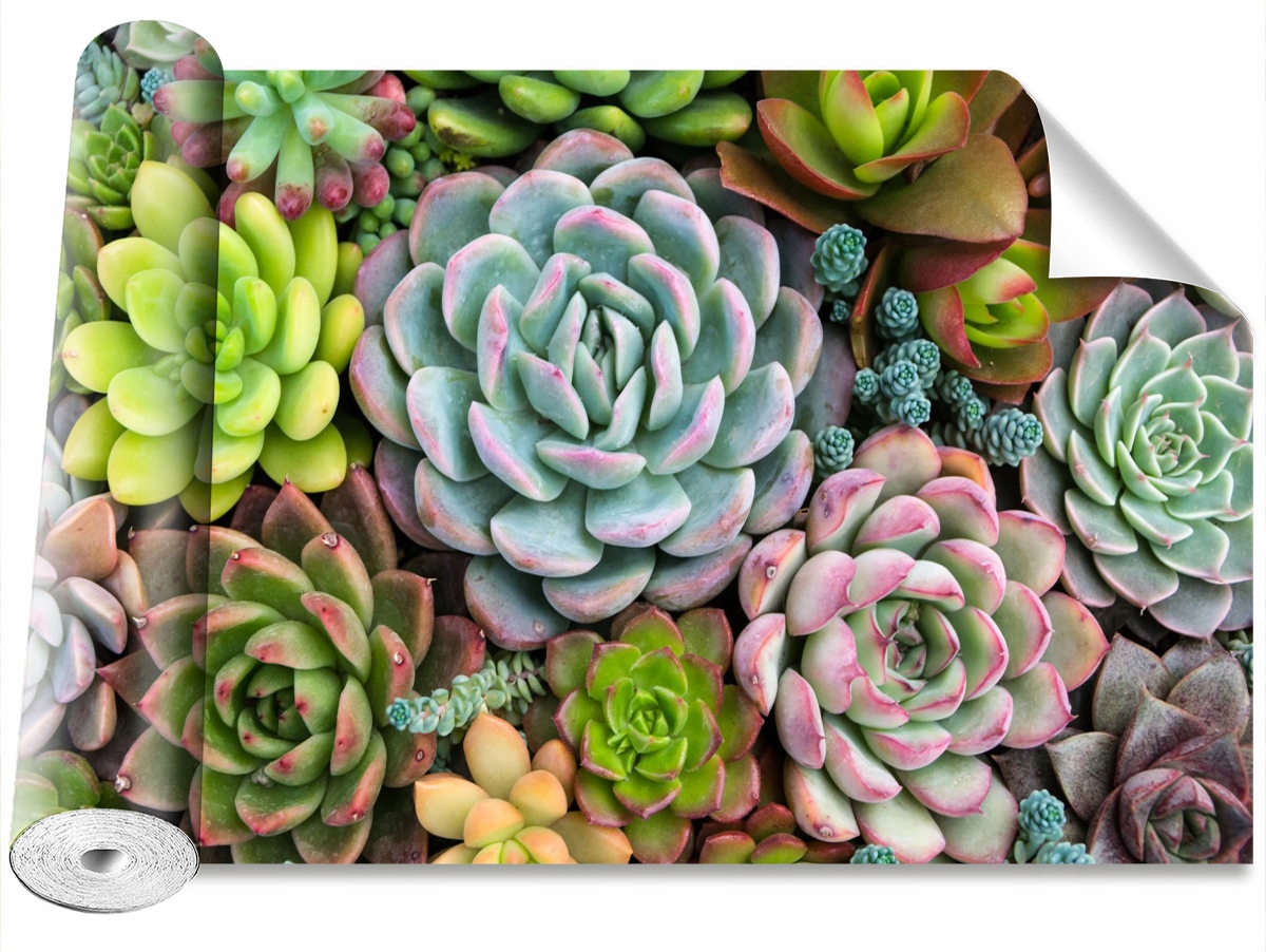 

Tapeta Samoprzylepna Ogród Skalny Rośliny 312x219