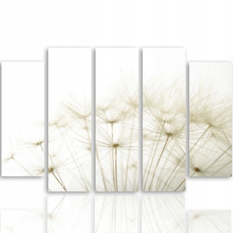 

Tryptyk Obraz Dmuchawce Wzór Do Sypialni 250x120